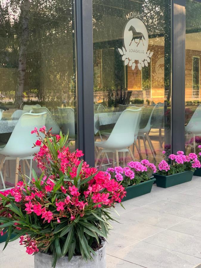מלון Mohacsi Wellness Vendeghaz Es Lovasklub מראה חיצוני תמונה